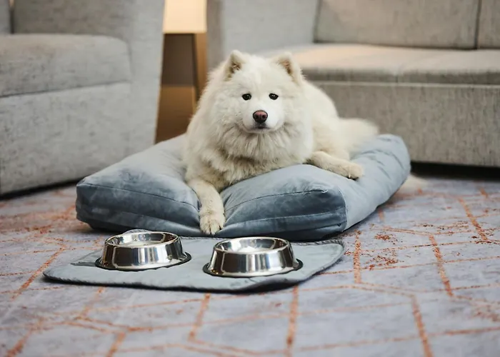 מלון Sheraton 5*