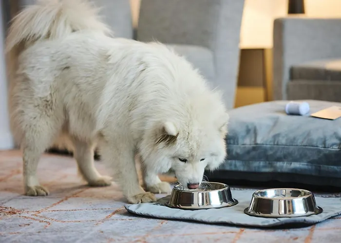 波兹南喜来登酒店 酒店