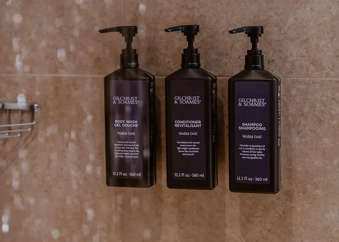 波兹南喜来登酒店 5*